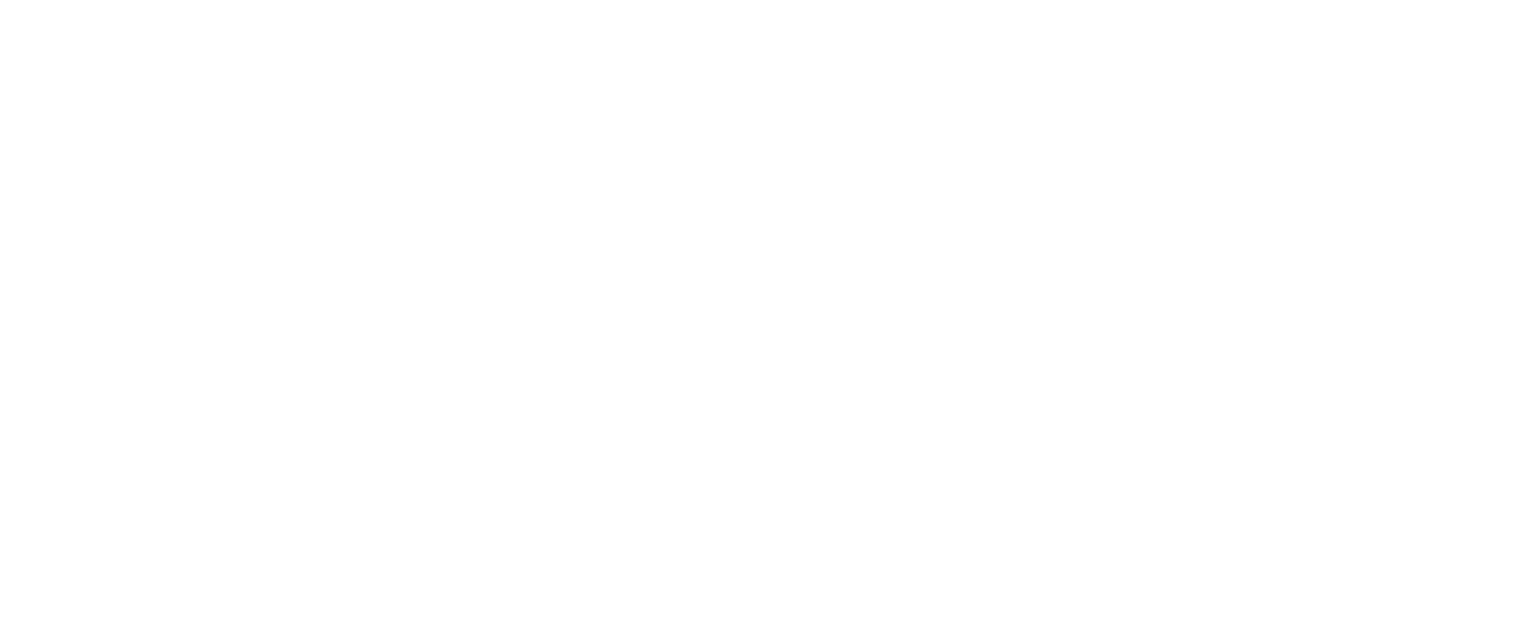 Quarneri-Logo-white-transparent-v2 - Chiropractor in San Mateo | Quarneri Chiropractic | Accepting New Patients